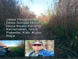Infrastruktur Terabaikan: Jalan Penghubung Desa Sungai Nibung-Kuala Karang, Diduga Pemkab Kubu Raya Butakan Mata, Pekakan Telinga