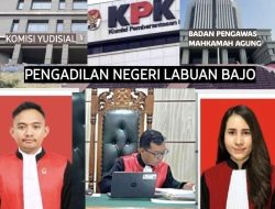 Hakim Made Wira Sangat Otoriter, Hakim Wira Di PN Labuan Bajo Diduga Bermain Kotor Dengan Pihak Ketiga