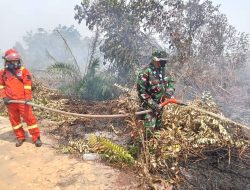 Cegah Meluas, Dandim 1209/Bengkayang Terjun Langsung Padamkan Api Karhutla