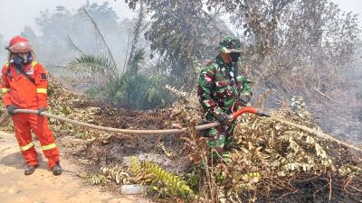 Cegah Meluas, Dandim 1209/Bengkayang Terjun Langsung Padamkan Api Karhutla