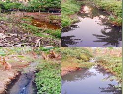 Dugaan Limbah Kotoran Babi Mengaliri Sungai di Desa Sungai Duri Bengkayang Mendapat Sorotan Publik