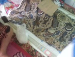 Polemik Pemulangan Pasien di RS Hikmah Makassar, Publik Pertanyakan Etika dan Transparansi Dokter