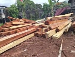 Tumpukan Kayu Misterius di Balai Berkuak Jadi Perbincangan, Aparat Didesak Bertindak