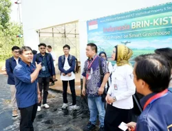 Smart Greenhouse Jadi Model Baru Inovasi Pangan Berkelanjutan