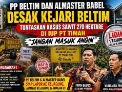 Dugaan Penguasaan 270 Hektare Lahan IUP PT Timah Disorot, Kejari Beltim Didesak Bertindak Cepat