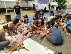 BRI Warung Buncit, Pasar Minggu, hingga TB Simatupang Kompak Gelar Kurban Iduladha
