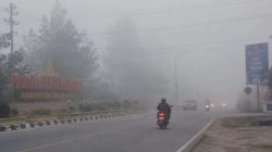 Kabut Tebal Tutupi Pelalawan, Warga Sempat Mengira Asap Karhutla