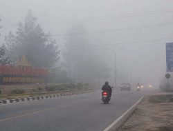 Kabut Tebal Tutupi Pelalawan, Warga Sempat Mengira Asap Karhutla