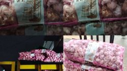Diduga Berasal dari Impor, Aktivitas Bongkar Muat Bawang Putih di Jalan Siam Perlu Penelusuran Aparat