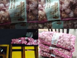 Diduga Berasal dari Impor, Aktivitas Bongkar Muat Bawang Putih di Jalan Siam Perlu Penelusuran Aparat