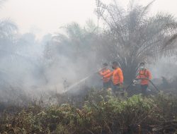 Polres Landak Bersama Tim Gabungan Padamkan Karhutla di Sebangki, Api Jinak Pukul 23.00 WIB